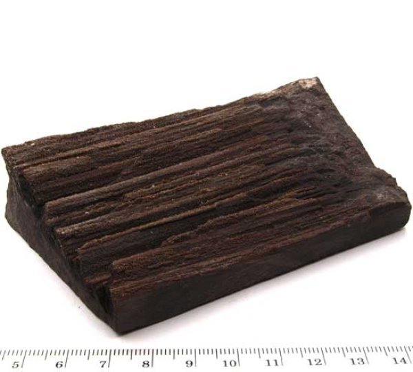 Fossiles Holz #4: B/T/H: 100/55/15 mm, Gewicht: 181 g